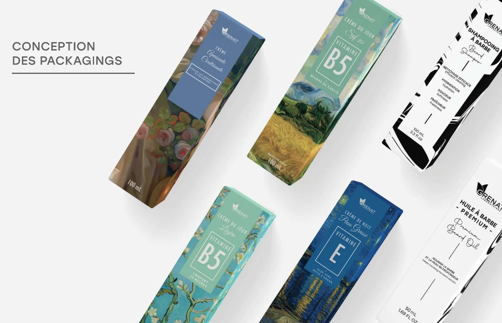 Déclinaisons de packaging Déclinaisons de packaging